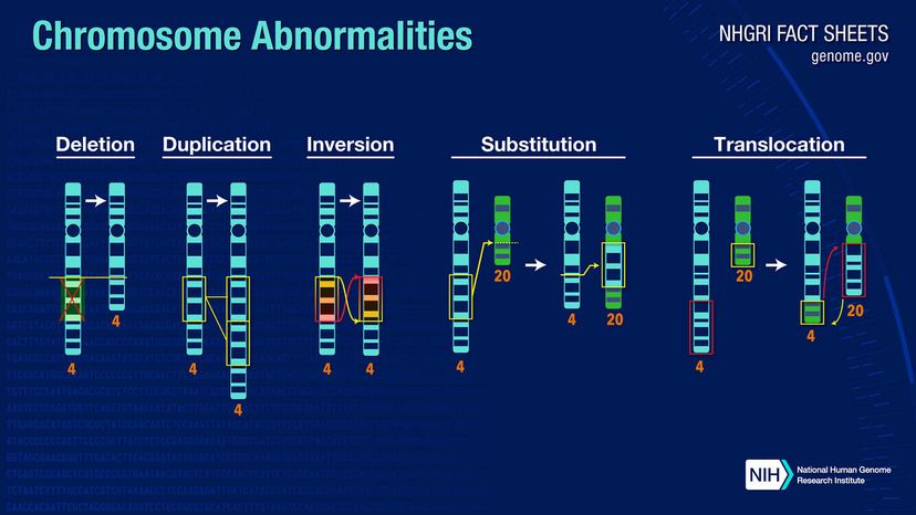 dna mutation