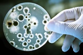 As icky as they may seem, bacteria play a crucial role in helping humanity thrive.