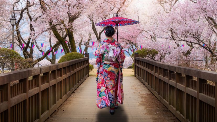 Geisha Culture in Kyoto, Japan: An Inside Look