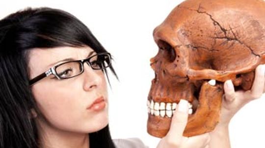 18新利最新登入人类是如何进化的?”width=