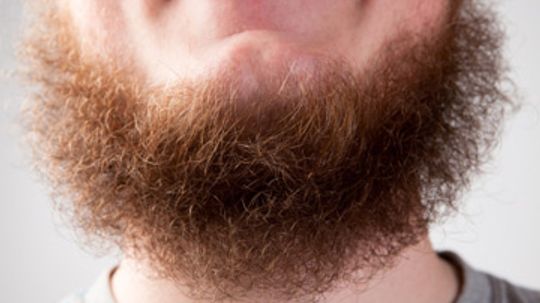 How often should I shave my beard?