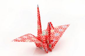 Difficult Origami for The First Time [38 Types Introduced] Japan