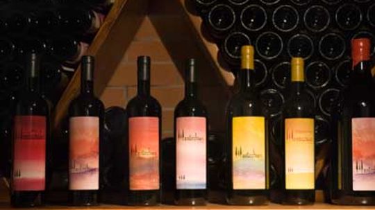 意大利葡萄酒终极指南＂width=