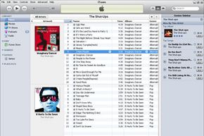 The iTunes music library gives you multiple options to organize and listen to your music collection.
