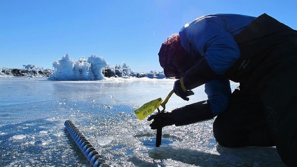 Becky Goodsell, ice quakes, Antartica