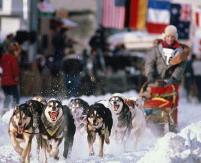 Are sled dogs a help or hindrance in the Alaskan wilderness?