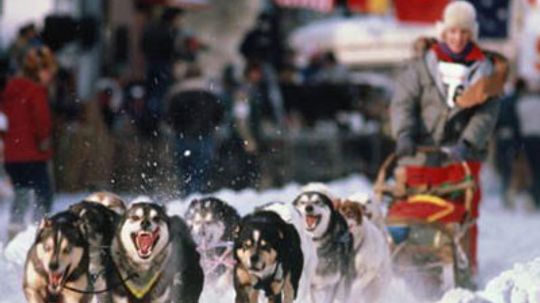 How the Iditarod Works