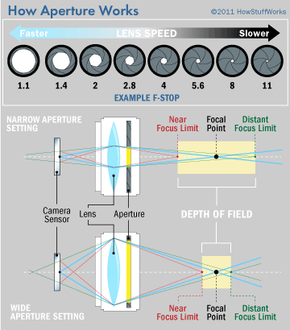 An illustration comparing a narrow aperture setting and a wide aperture setting