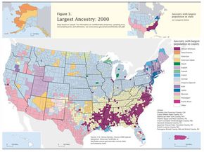 The 2000 census helped to make this chart of reported ancestries in the United States. A shaded color represents the biggest group found in that area. The variety of groups represented shows the many countries from which immigrants have come to the U.S.