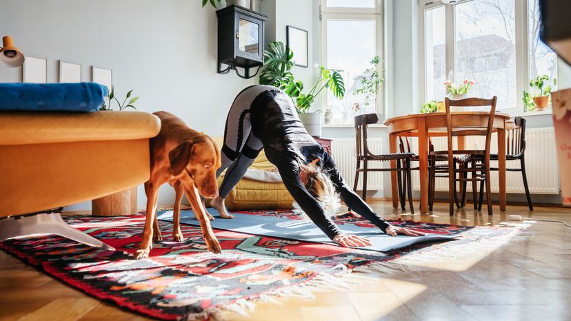 A girl doing yoga poses in her living room at home with a dog