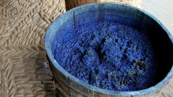 Blue bucket overflowing with nature's food - agriculture.