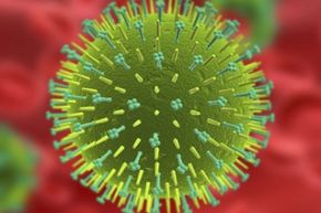 influenza virus