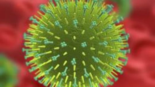 The ABC's of the Flu Virus
