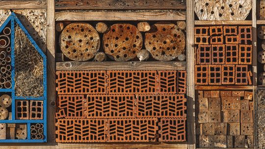Insect Hotels Roll Out the Welcome Mat for Bugs of All Kinds