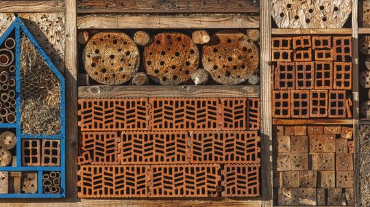 Insect Hotels Roll Out the Welcome Mat for Bugs of All Kinds“border=