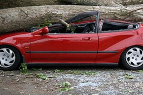 A sporty red car, slightly flattened by a large tree trunk.