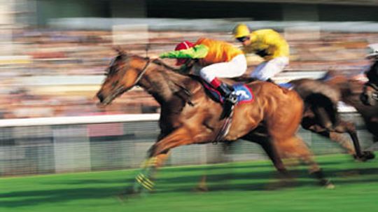 Could investing in a racehorse make you rich?