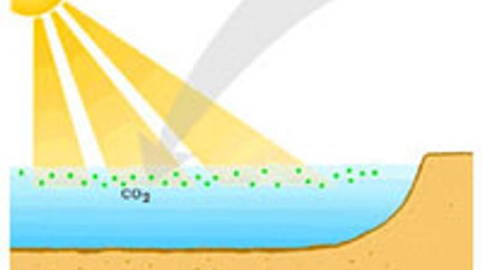 How can adding iron to the oceans slow global warming?