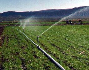 &quot;Hand Move&quot; portable sprinkler system