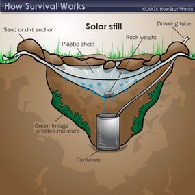 A solar still can help you collect drinking water.