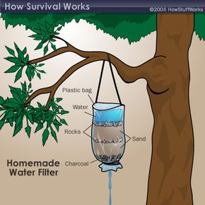 You can fashion a water filter if you have a plastic bag. Learn more about this method in How to Find Water in the Wild.