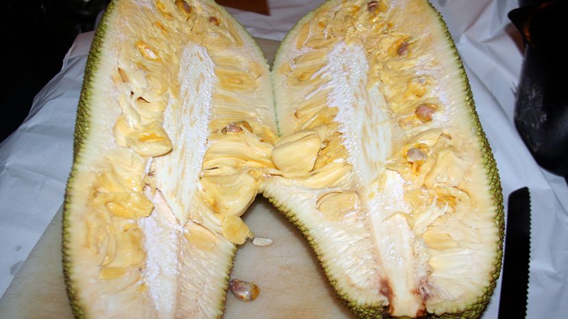 jackfruit