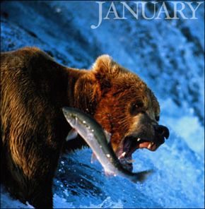 Grizzly Bear Calendar