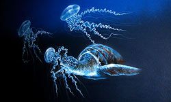 apl topics cnidarians landing page