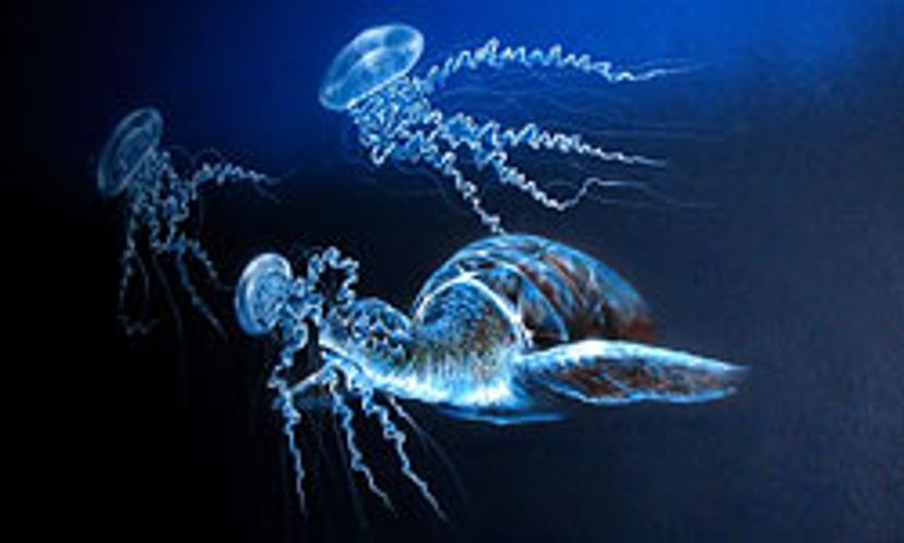 The Ultimate Jellyfish Venom Quiz