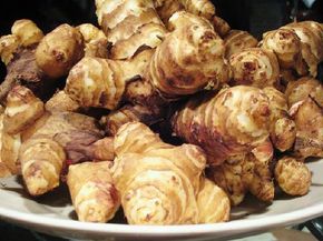 The edible tubers of Jerusalem artichokes are low in starch. See more pictures of artichoke &amp; artichoke recipes.
