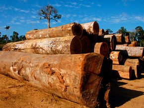 For a post-Kyoto treaty to succeed, developing polluters like China, India and Brazil would have to play a part. The Brazilian Amazon is being deforested rapidly by loggers, ranchers, farmers and developers.