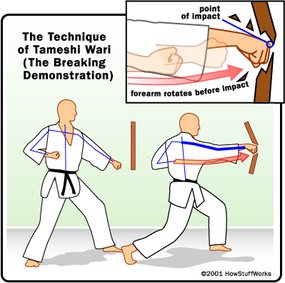 martial arts stances techniques