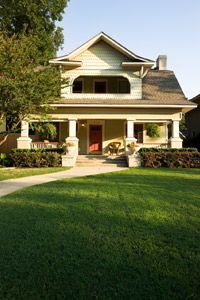 A lush, green lawn.