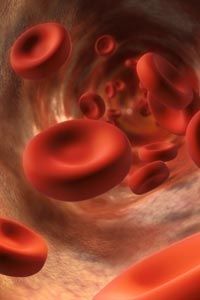 red blood cells