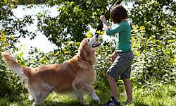 girl training dog