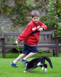 A boy leads his cat on a chase with a wand toy.
