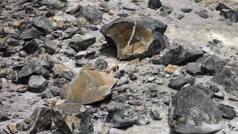 Was an Evil Spirit Released When Japan's 'Killing Stone' Split in Half? - Vimarsana News
