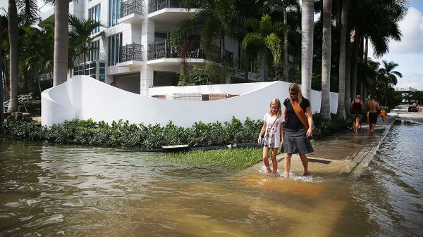 flooding from king tide