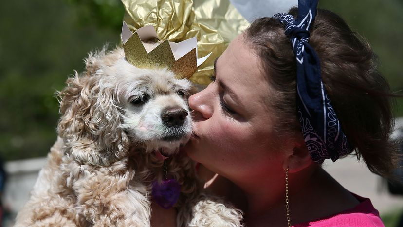 girl kisses a dog