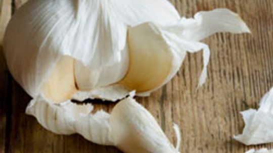 What are some garlic allergy symptoms?