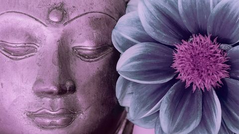 How Zen Koans Unlock the (Gateless) Gate of Enlightenment - Vimarsana News