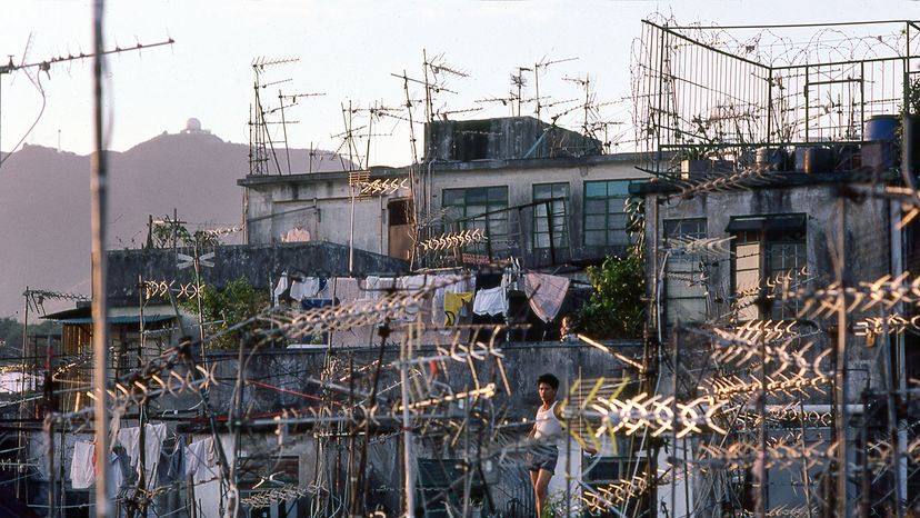 boy flies a kite in Kowloong