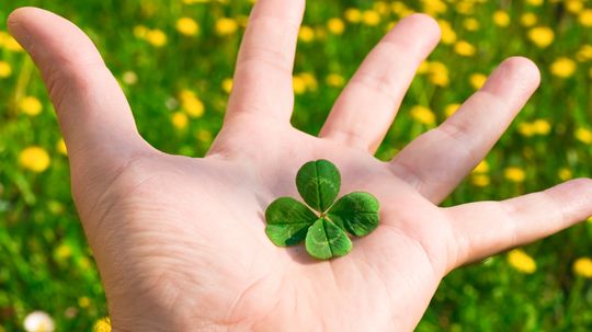 Why are four-leaf clovers lucky?