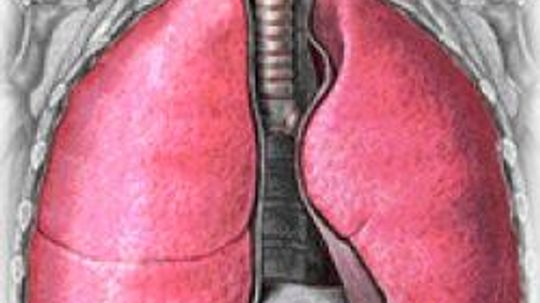 How does the respiratory system defend itself?