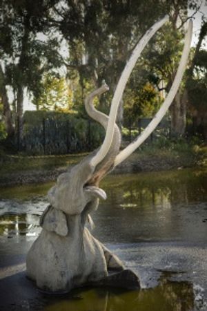 a mammoth at the la brea tar pits