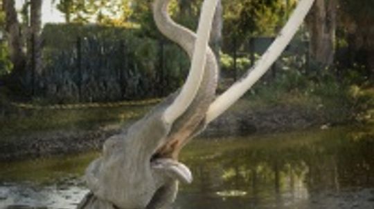 How the La Brea Tar Pits Work