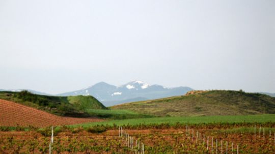 La Rioja葡萄酒区终极指南