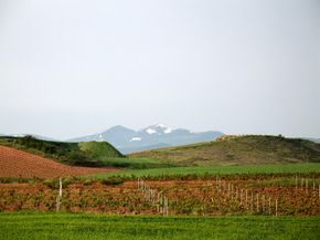 西班牙的拉里奥哈葡萄酒产区以两条河流命名，出产许多优质葡萄酒。查看我们收藏的葡萄酒图片＂width=