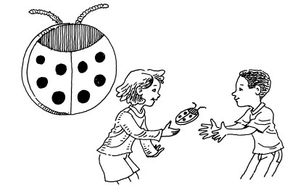 Toss your ladybugs back and forth with friends.