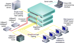 What Is a Network Switch, and Do You Need One?